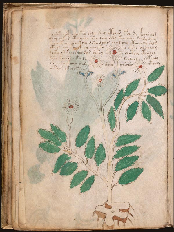Opio-(opìum)-(f27v)