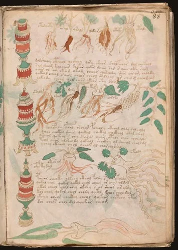 Secci&oacute;n farmac&eacute;utica