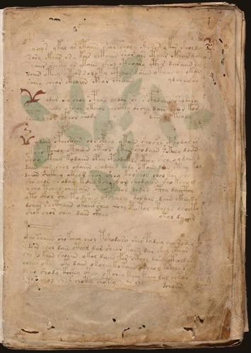 Voynich Pre&aacute;mbulo