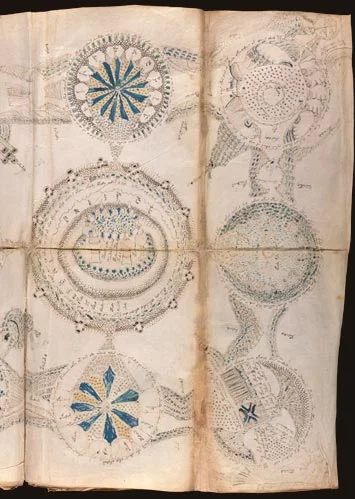 Rosetones del Voynich
